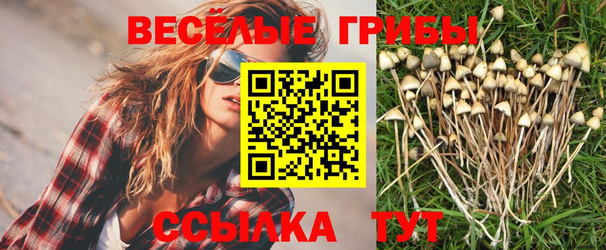 Семёнов  Галлюциногенные грибы Cubensis  Псилоцибиновые грибы мицелий  Вход с VPN 