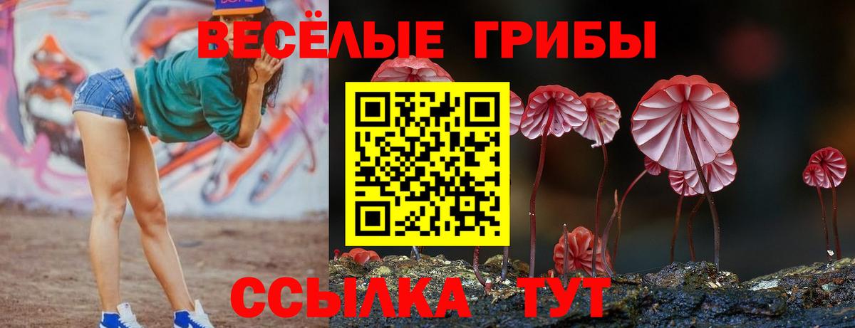 Галлюциногенные грибы мицелий Семёнов